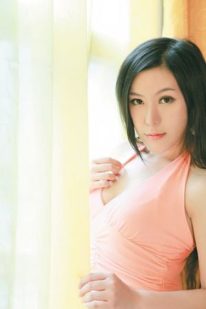 白莲花电视剧完整版免费